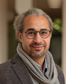 Prof. Dr. El-Sayed M. Abdelwhab
